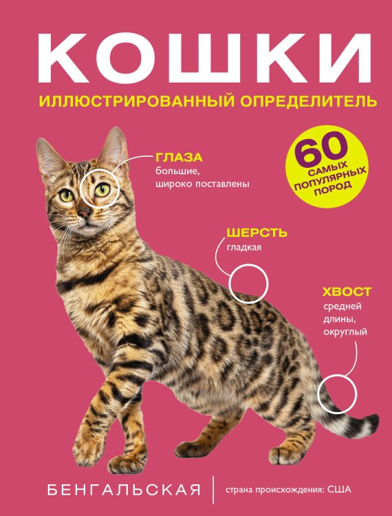 Обложка книги «Кошки. 60 самых популярных пород. Иллюстрированный определитель» — Спектор Анна Артуровна;Смирнов Дмитрий Сергеевич, ISBN 9785171869823