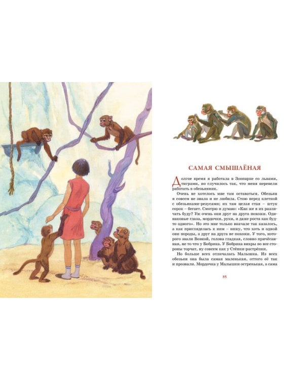 Фомка - белый медвежонок