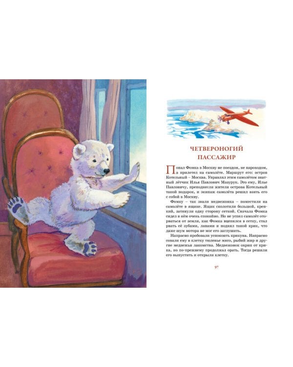 Фомка - белый медвежонок