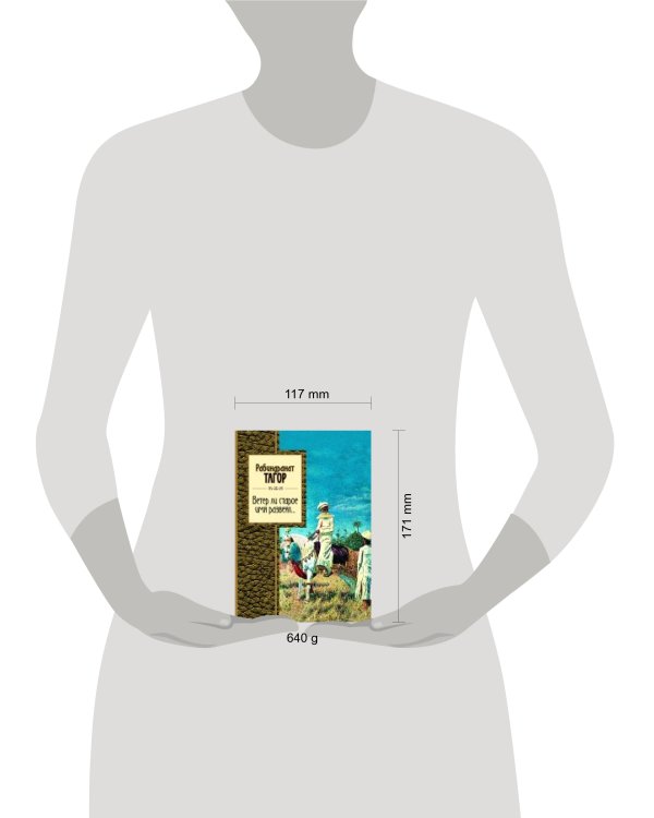 Дополнительное изображение книги «Ветер ли старое имя развеял...»