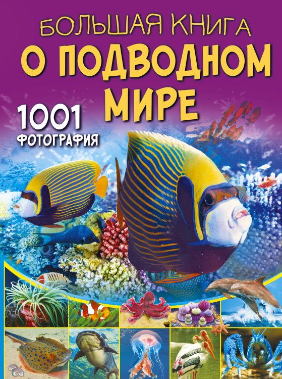 Большая книга обо всём Большая книга о подводном мире. 1001 фотография