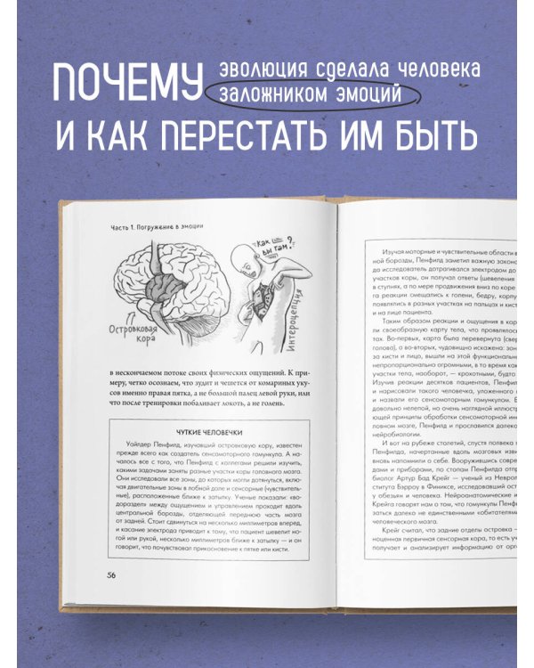 Дополнительное изображение книги «Коктейль эмоций. Градус наших чувств: как мозг виртуозно смешивает их, чтобы мы не натворили много глупостей»