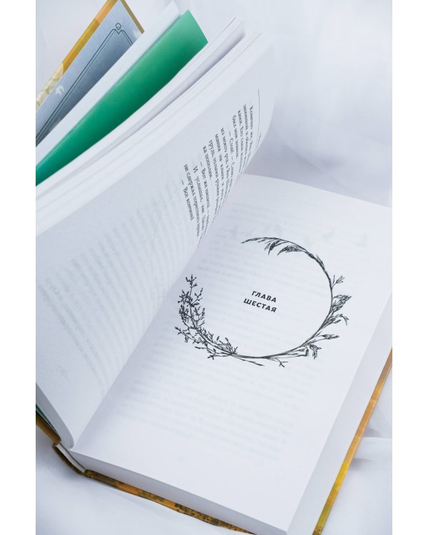 Девять царств: Принцесса степей