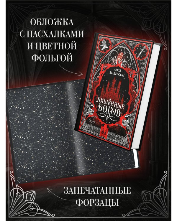 Дополнительное изображение книги «Лишенные богов (#1)»