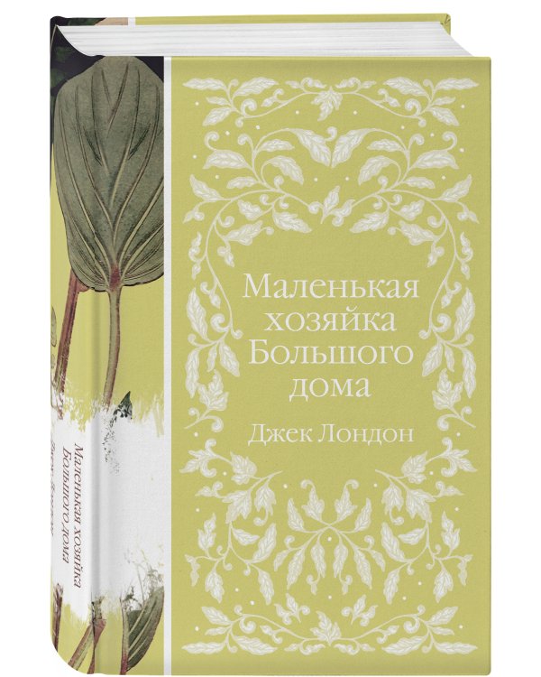 Маленькая хозяйка Большого дома