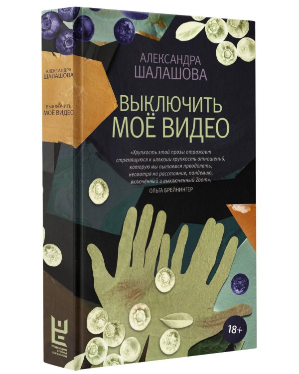 Выключить моё видео