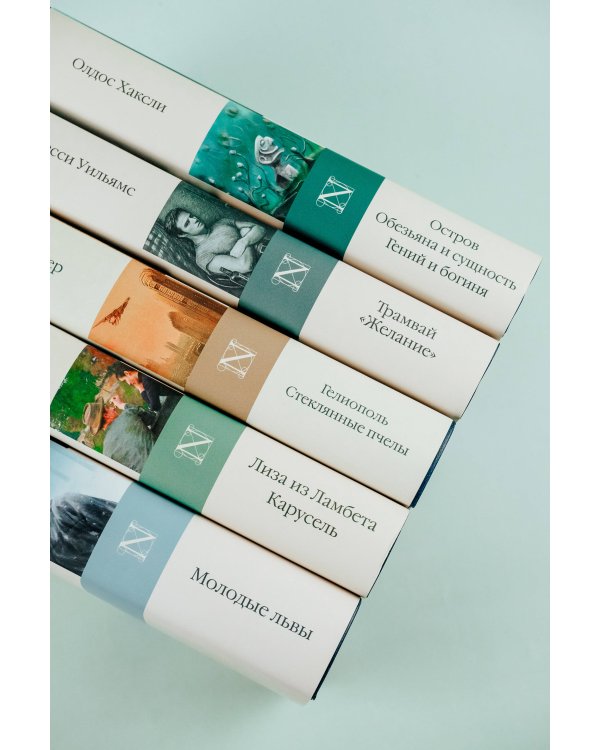 Лиза из Ламбета. Карусель