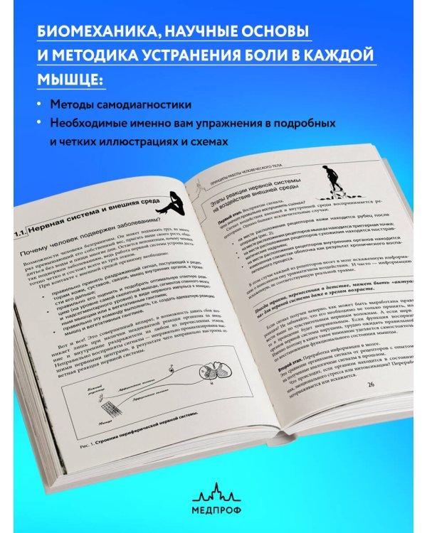 Прикладная кинезиология. Восстановление тонуса и функций скелетных мышц