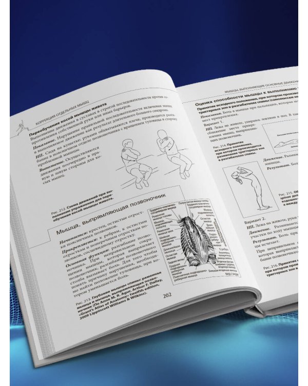 Прикладная кинезиология. Восстановление тонуса и функций скелетных мышц