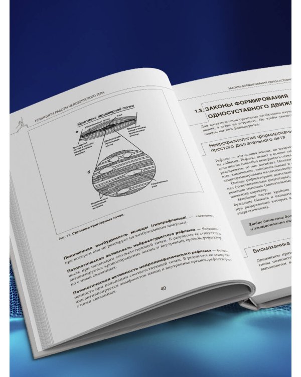 Прикладная кинезиология. Восстановление тонуса и функций скелетных мышц