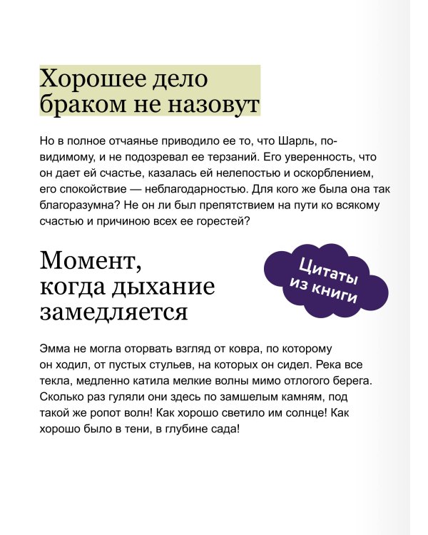 Госпожа Бовари. Вечные истории