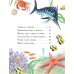 Первые книжки о животных Морские сказки