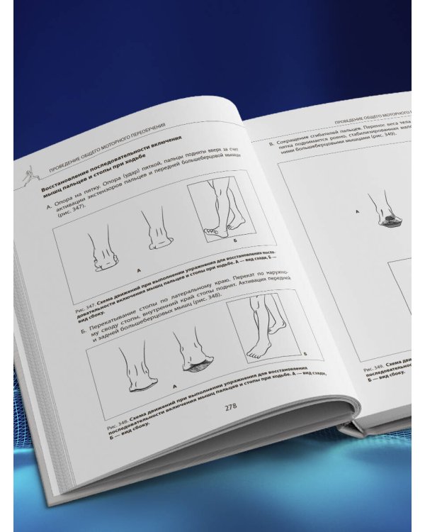 Прикладная кинезиология. Восстановление тонуса и функций скелетных мышц
