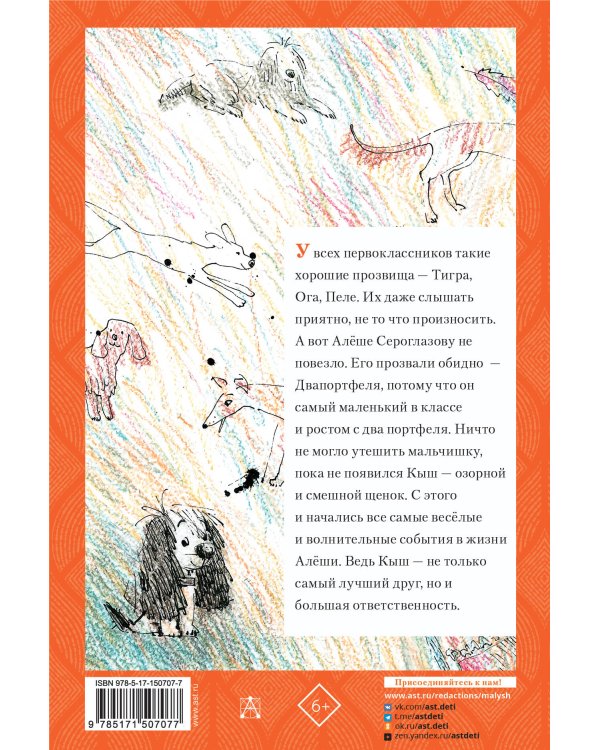 Кыш и Двапортфеля