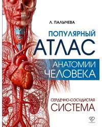 Популярный атлас анатомии человека. Сердечно-сосудистая система