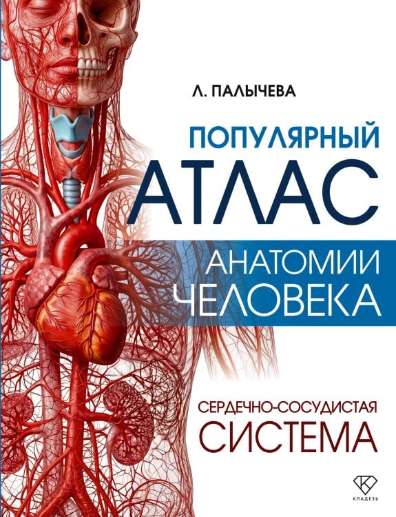 Обложка книги «Популярный атлас анатомии человека. Сердечно-сосудистая система» — Палычева  Любовь  Николаевна, ISBN 9785171888381