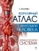 Обложка книги «Популярный атлас анатомии человека. Сердечно-сосудистая система» — Палычева  Любовь  Николаевна, ISBN 9785171888381