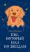 Обложка книги «Пес, который шел по звездам» — Шойом Анна, ISBN 9785389287747
