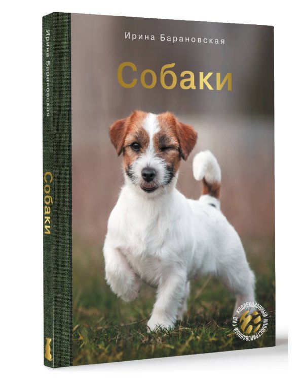 Собаки