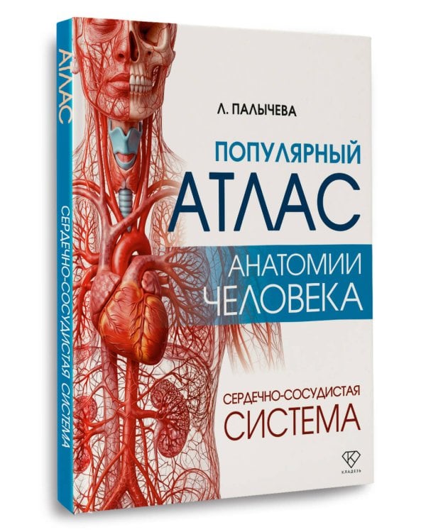 Дополнительное изображение книги «Популярный атлас анатомии человека. Сердечно-сосудистая система»