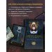 Dreams of Gaia Tarot. Мечты о богине Земли. Таро (81 карта и руководство по работе с колодой в подарочном футляре)
