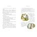 Дополнительное изображение книги «Winnie The Pooh Classics 100 Th Anniversary (A. A. Milne) Винни Пух классическое издание к 100-летнему юбилею (А .А. Милн) /Книги на английском языке»