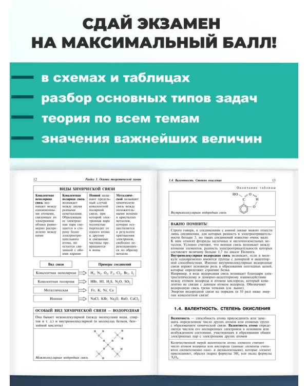 Химия: наглядно и доступно_