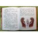 Дополнительное изображение книги «Доктор Айболит (ил. В. Канивца)»