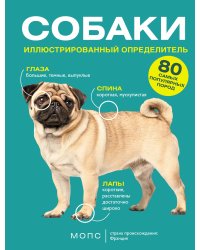 Собаки. 80 самых популярных пород. Иллюстрированный определитель
