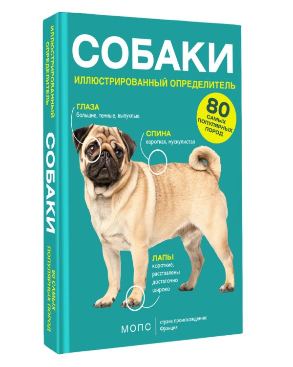 Собаки. 80 самых популярных пород. Иллюстрированный определитель
