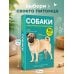 Собаки. 80 самых популярных пород. Иллюстрированный определитель