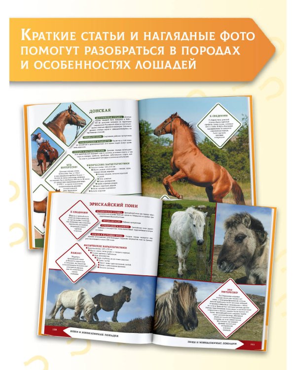 Дополнительное изображение книги «Лошади и пони»