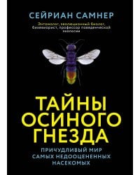 Тайны осиного гнезда: причудливый мир самых недооцененных насекомых