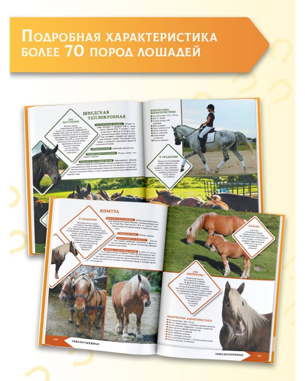 Дополнительное изображение книги «Лошади и пони»