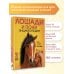 Дополнительное изображение книги «Лошади и пони»