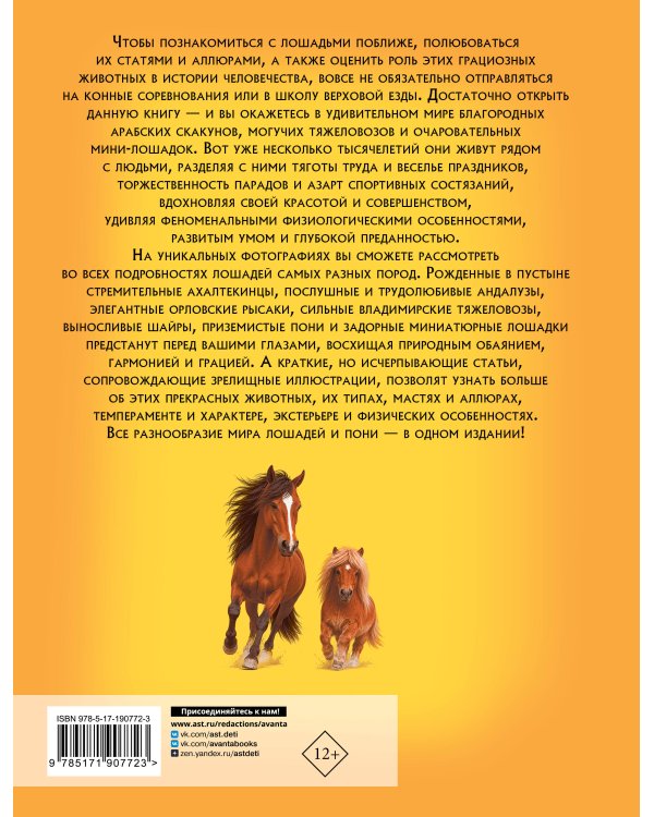 Дополнительное изображение книги «Лошади и пони»