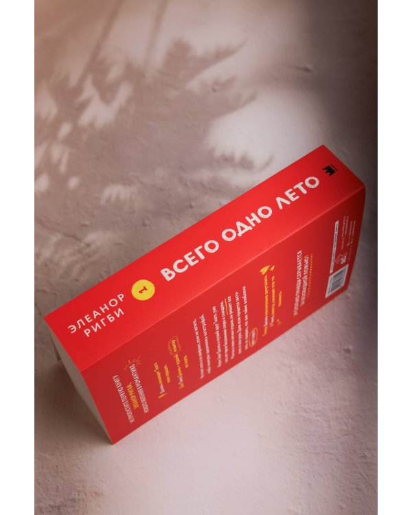 Дополнительное изображение книги «Всего одно лето»
