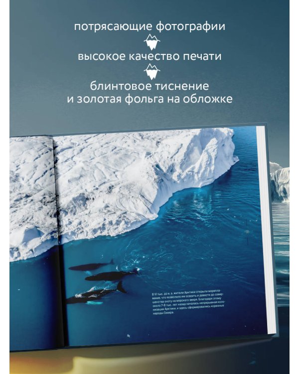 Дополнительное изображение книги «Арктика. История освоения Русского Севера»
