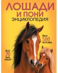Лошади и пони