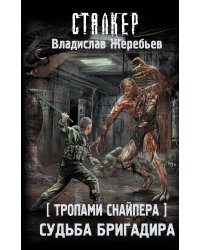 Тропами Снайпера. Судьба Бригадира
