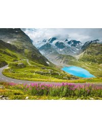 Алм. моз. 30*40 (класс) полное зап. без подр. (21 цв.) Дорога в неизвестные красоты (Арт. CF30052)