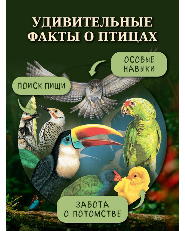 Дополнительное изображение книги «Птицы»