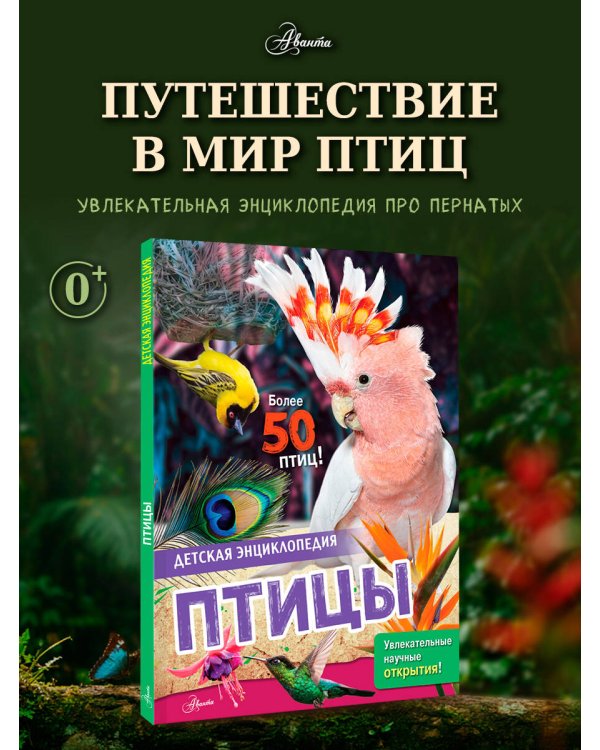 Дополнительное изображение книги «Птицы»