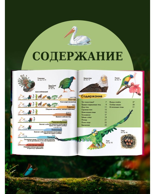 Дополнительное изображение книги «Птицы»