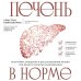 Печень в норме. Программа очищения и восстановления печени при явных и скрытых заболеваниях