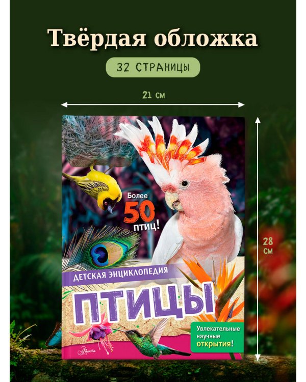 Дополнительное изображение книги «Птицы»