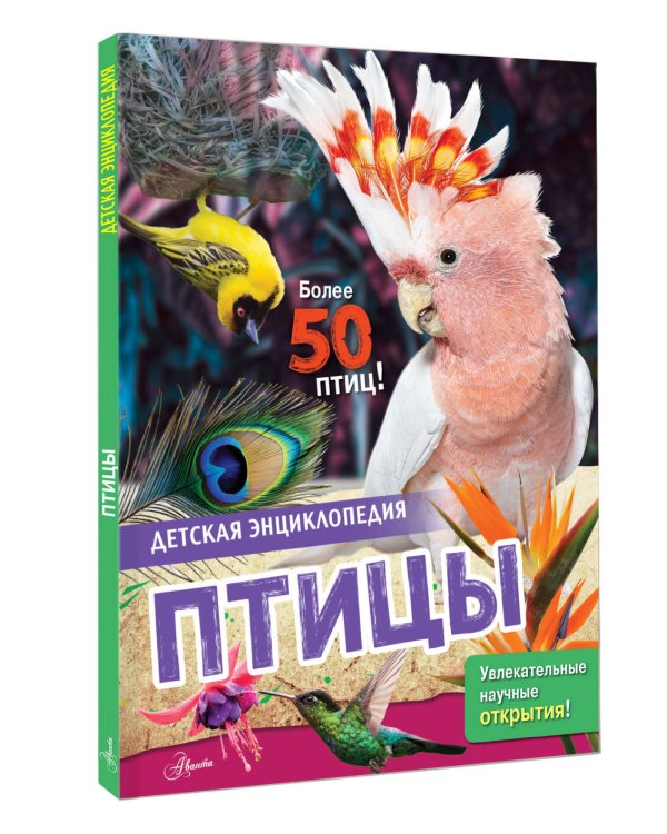 Дополнительное изображение книги «Птицы»