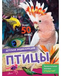 Птицы