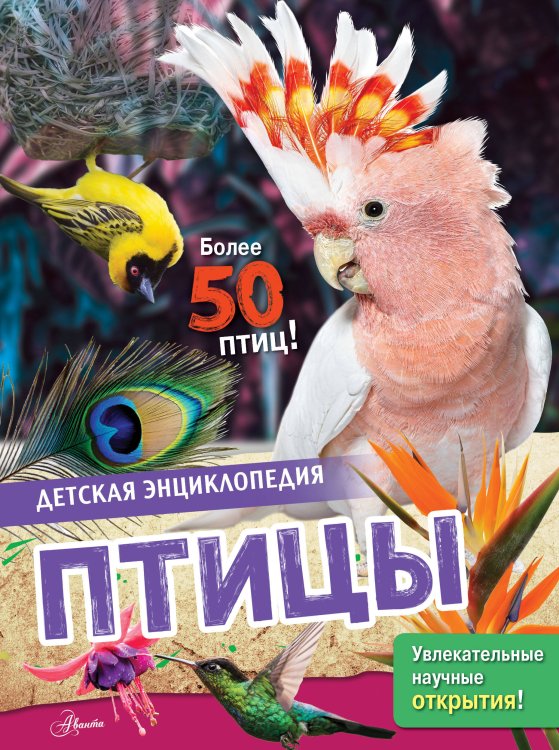Обложка книги «Птицы» — МакРей Энн, ISBN 9785171917999