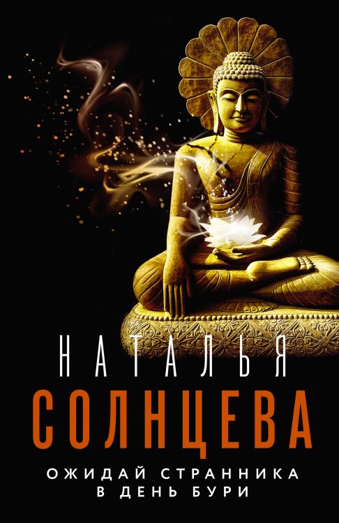 Все совпаденья не случайны. Романы Натальи Солнцевой Ожидай странника в день бури